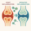 Anti-inflammatoire naturel - Articulations