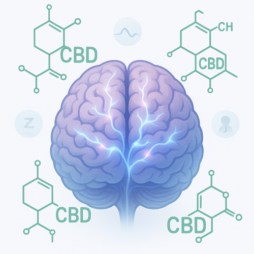 Bienfaits du CBD sur le cerveau et le corps - Illustration scientifique