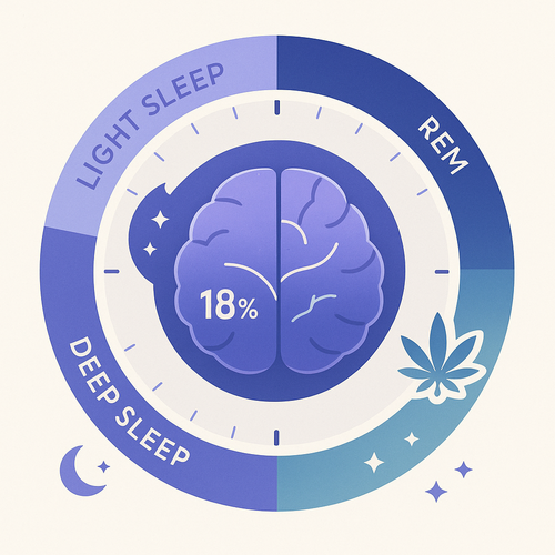 Amélioration de la qualité du sommeil avec le CBD - Phases de sommeil profond