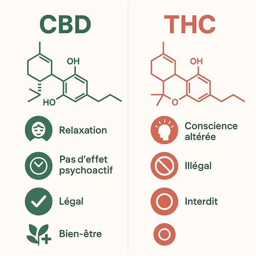 Tableau comparatif CBD vs THC - Effets et légalité en France
